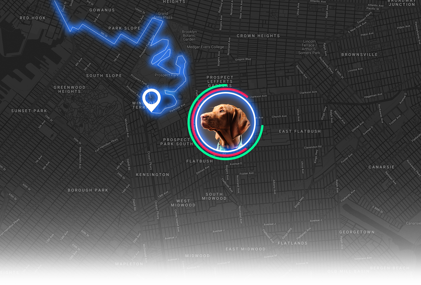MotorolaACTIVE，Motorola，alert，Thermal Monitor ，gps，