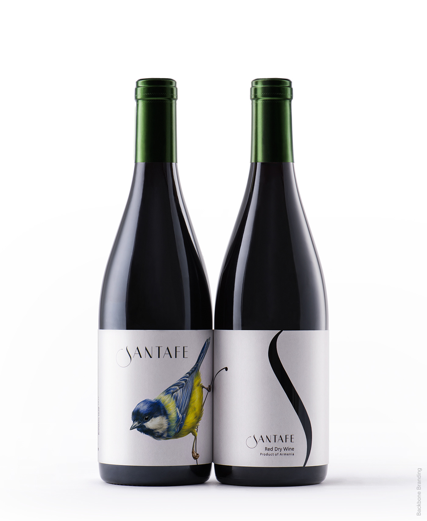 Santafe wine，packing design，blue tit，