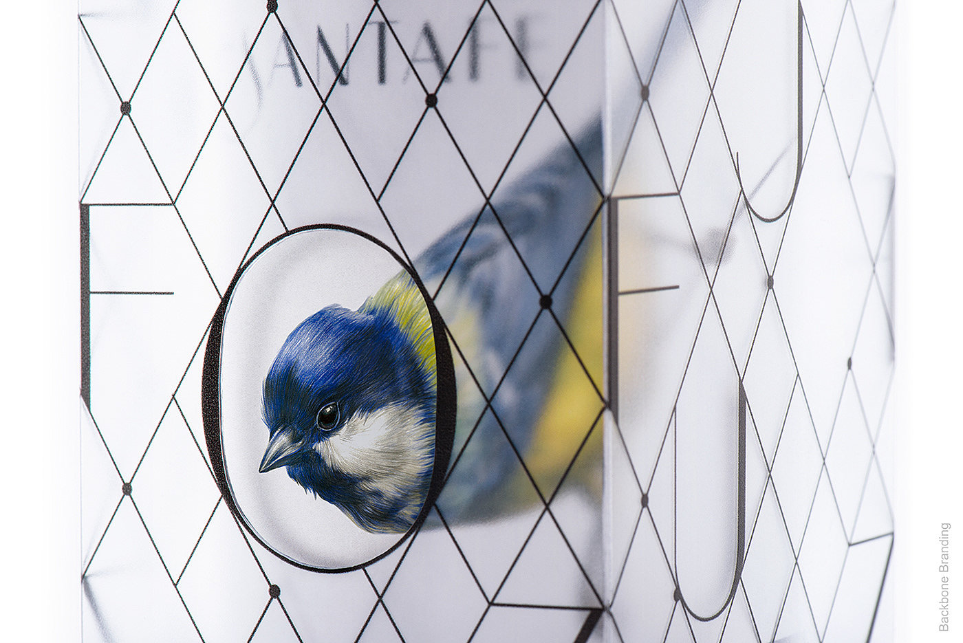 Santafe wine，packing design，blue tit，