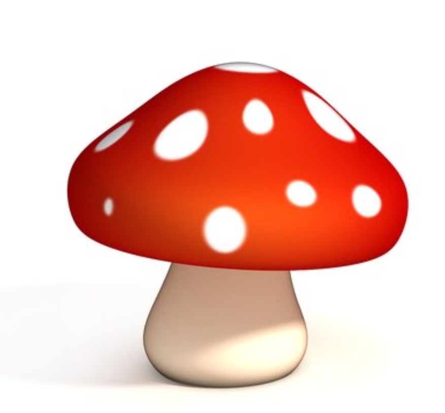 Small fan，summer，