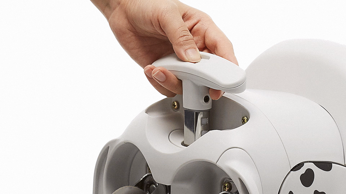 lovely，product design，trunk，strong，children，