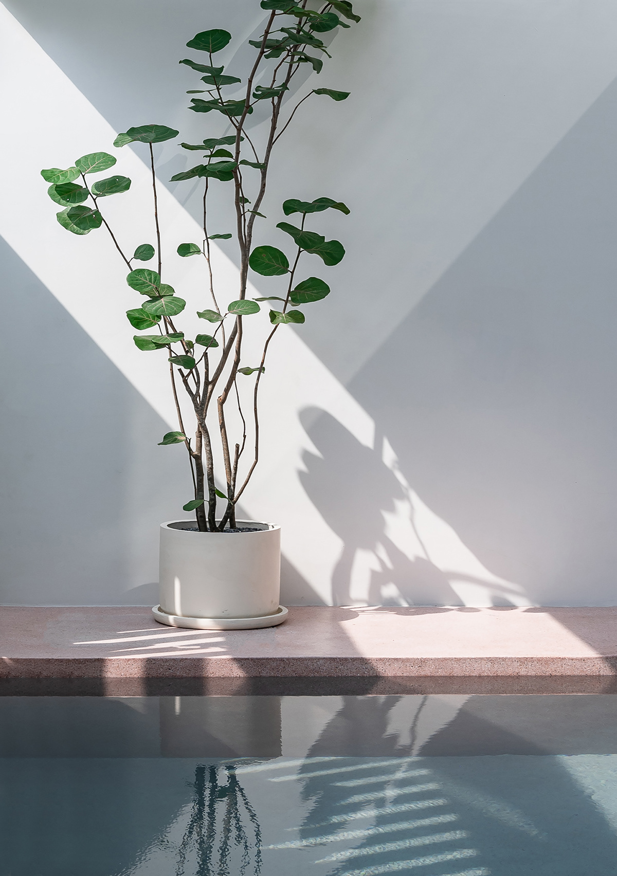 THE HIDDEN，Architectural design，Landscape design，