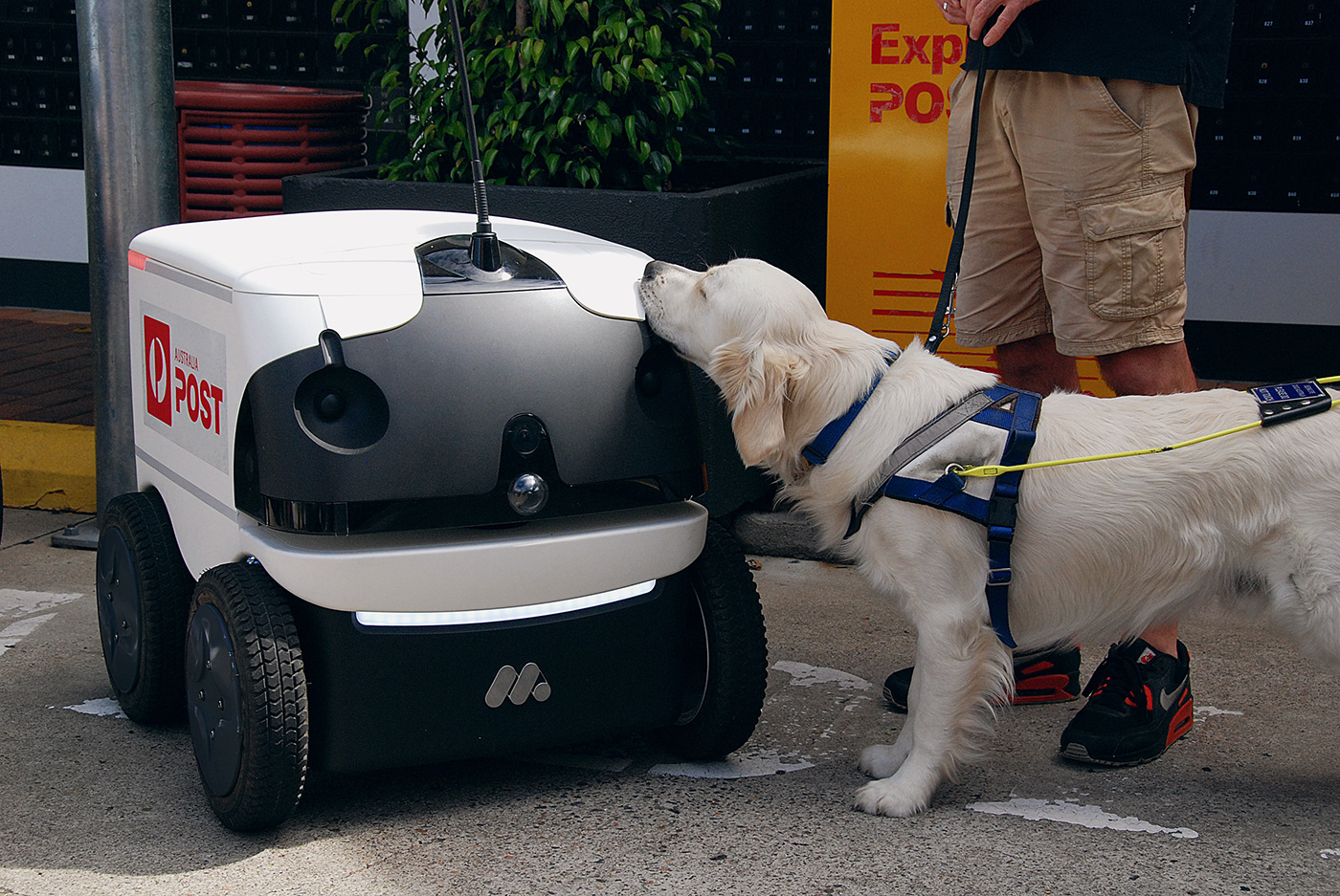 Delivery Droid，robot，automation，