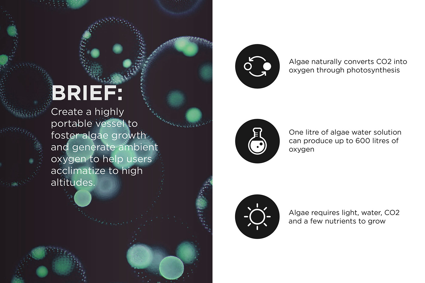 seaweed，modularization，oxygen，Foldable，container，