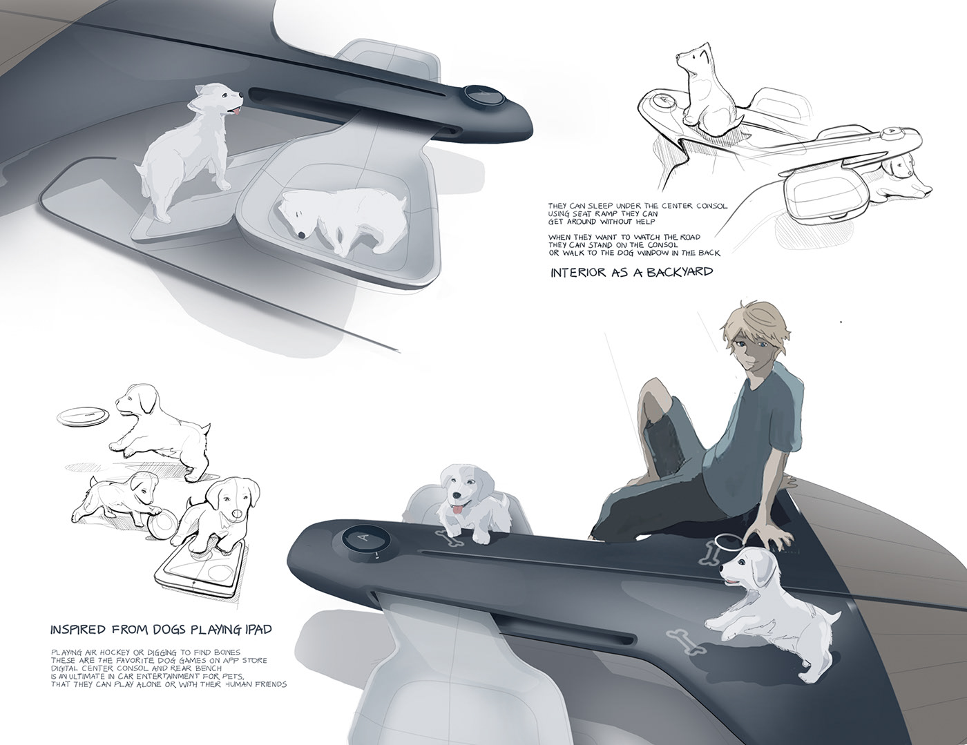 automobile，public，autonomy，technology，