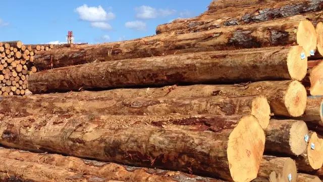 furniture，indoor，Design，popularization of science，wood，product，