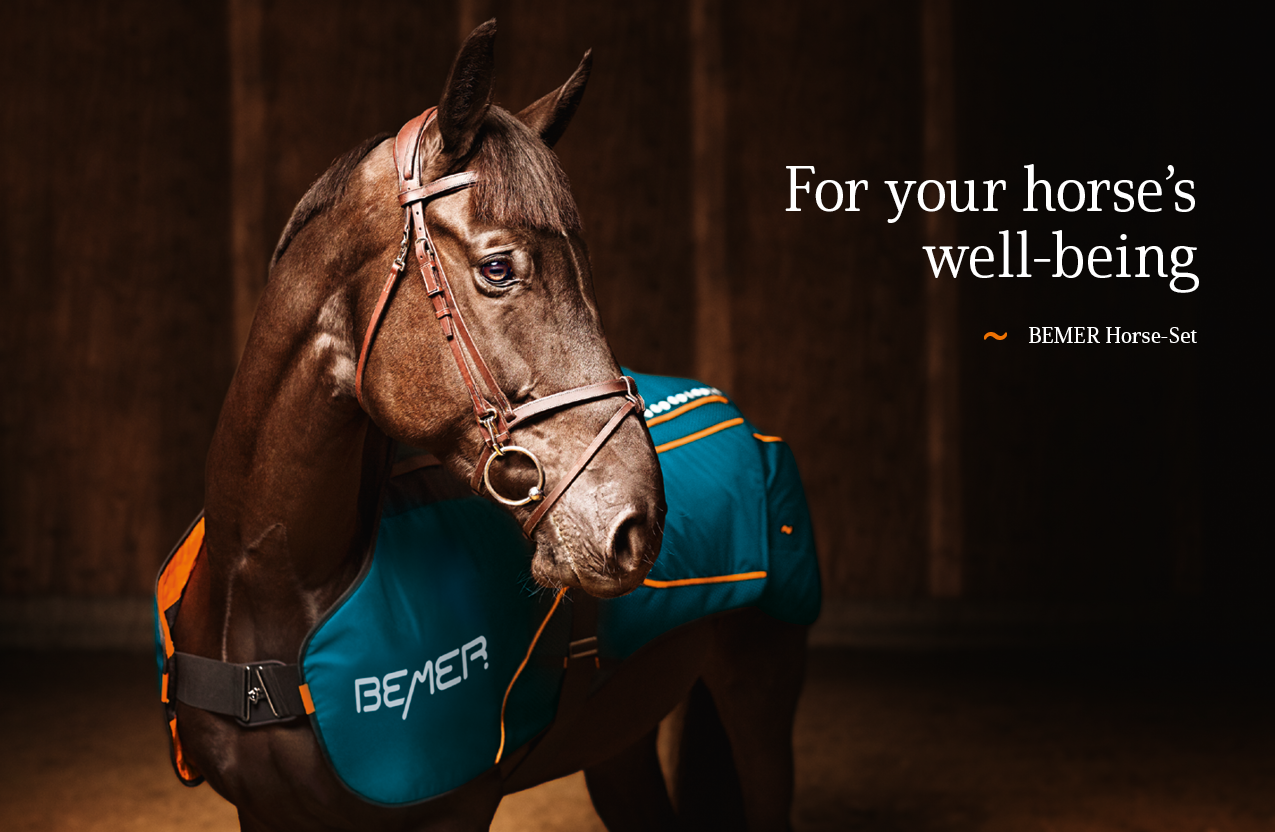 2020 red dot product design award，BEMER Horse-Set，Harness，Signal controller，