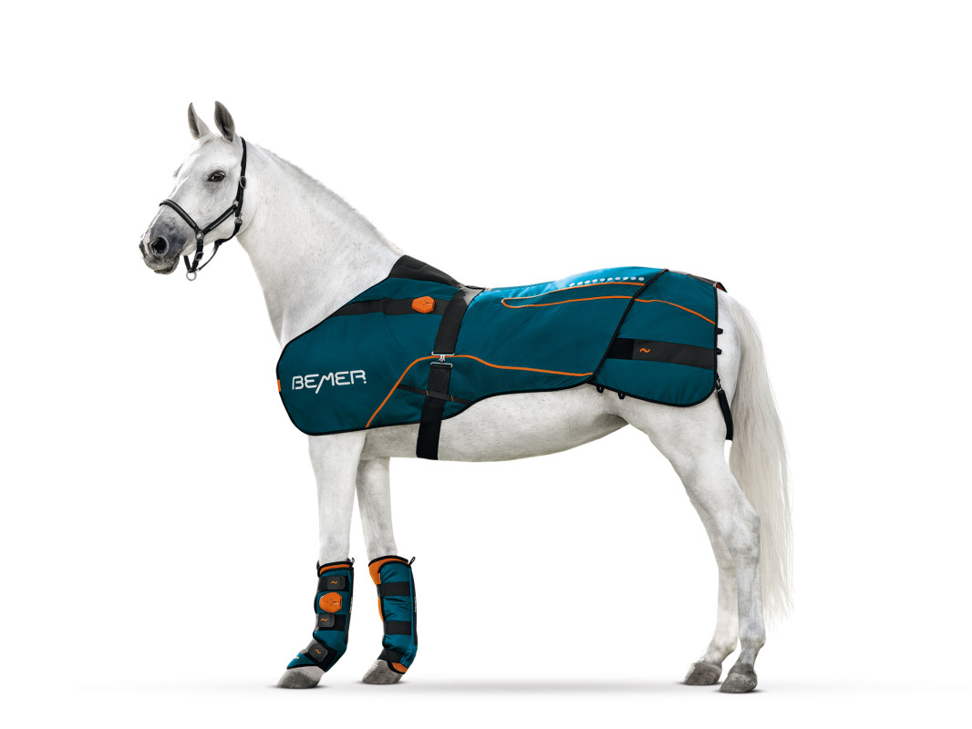 2020 red dot product design award，BEMER Horse-Set，Harness，Signal controller，