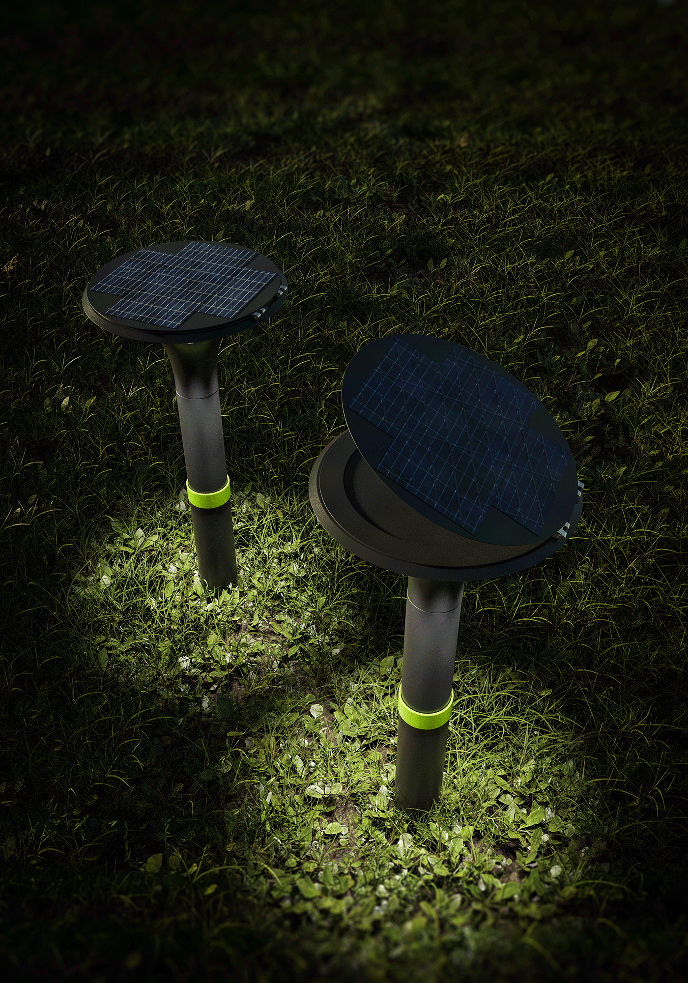 lamp，Botany，Vegetables，courtyard，