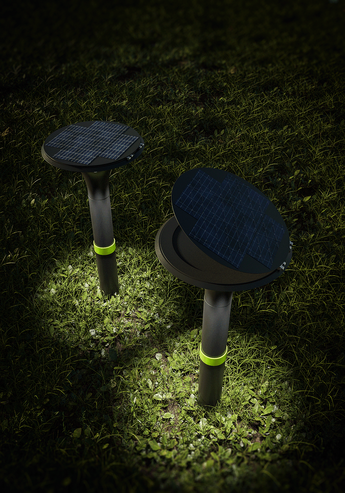 lamp，Botany，Vegetables，courtyard，
