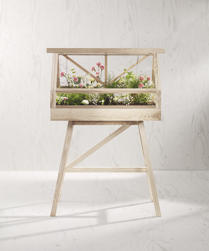 product design，industrial design，Home Furnishing，Botany，originality，