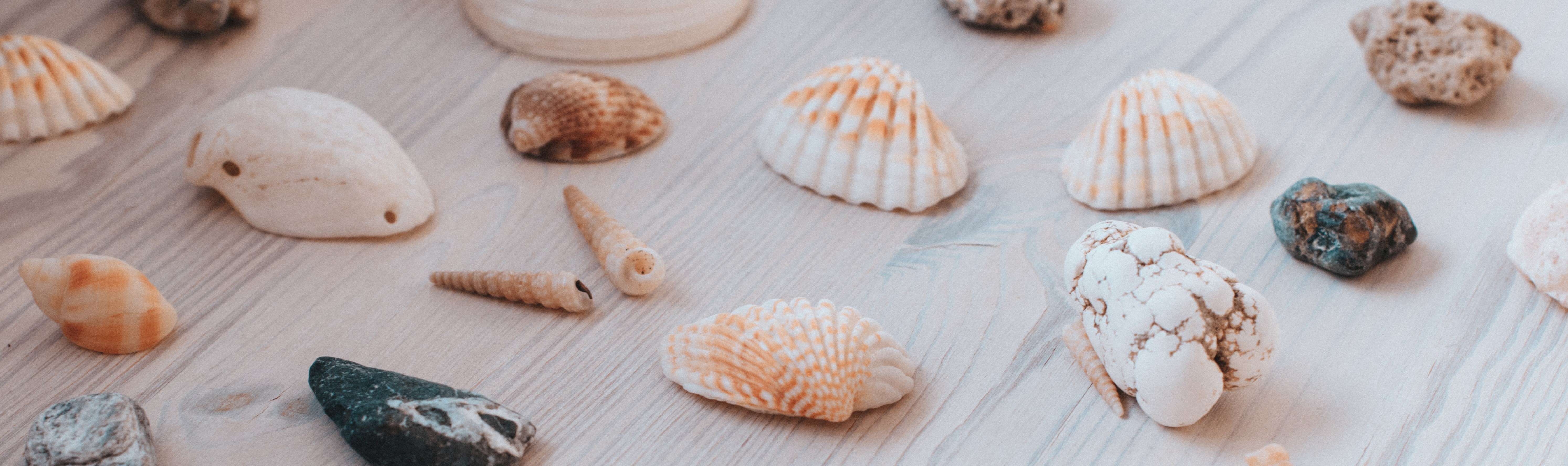 Cleanser，Face washing instrument，face，clarisonic ，female sex，nursing，Facial cleansing，