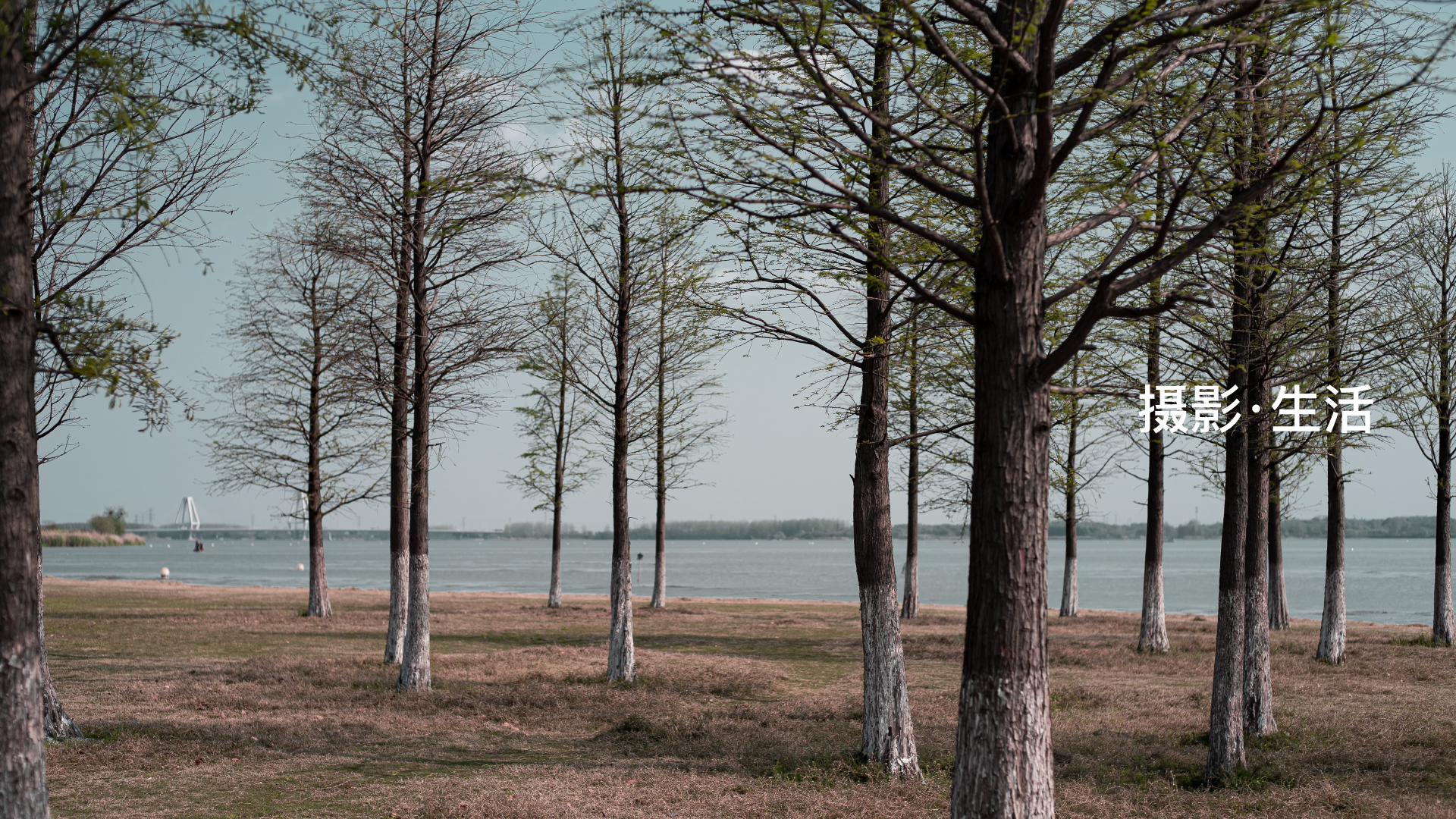 industrial design，interactive，camera，trunk，Desk lamp，sample reels，