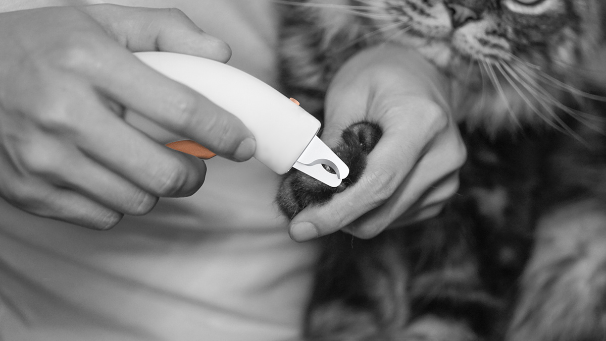 3D printing，Pet nail scissors，Model，