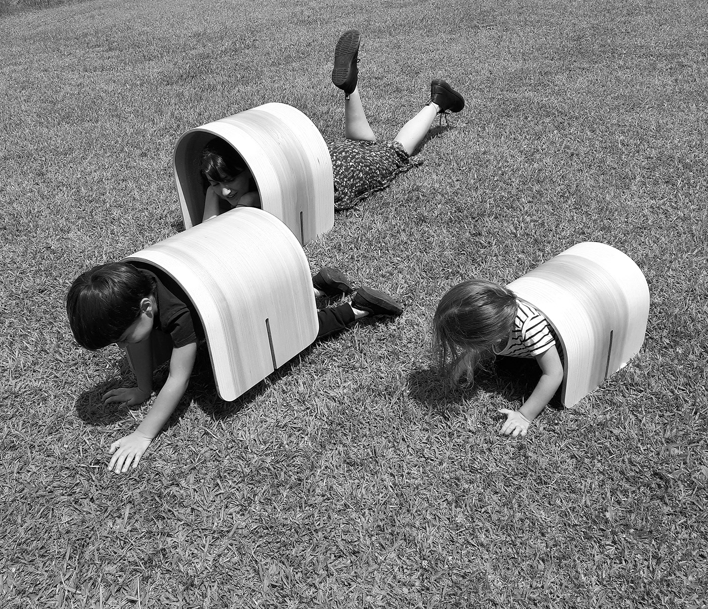 Andes，Public seat，woodiness，