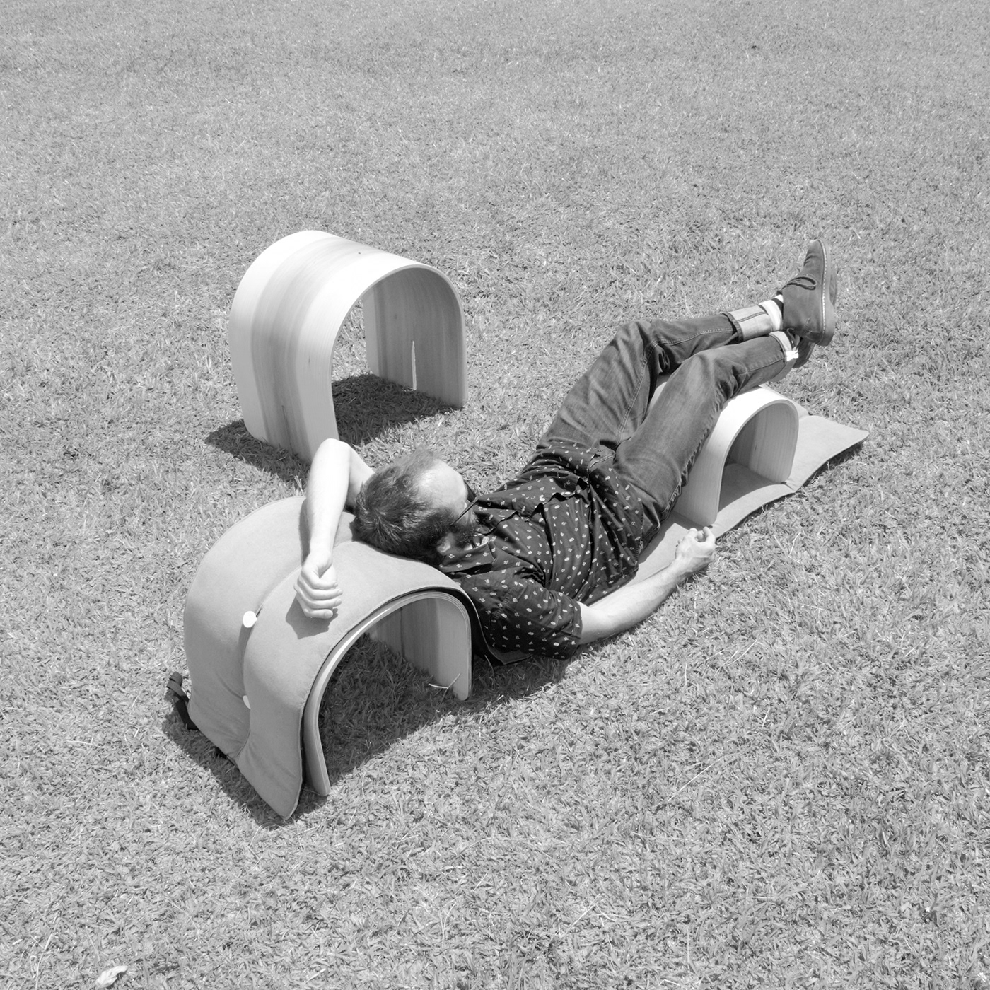 Andes，Public seat，woodiness，