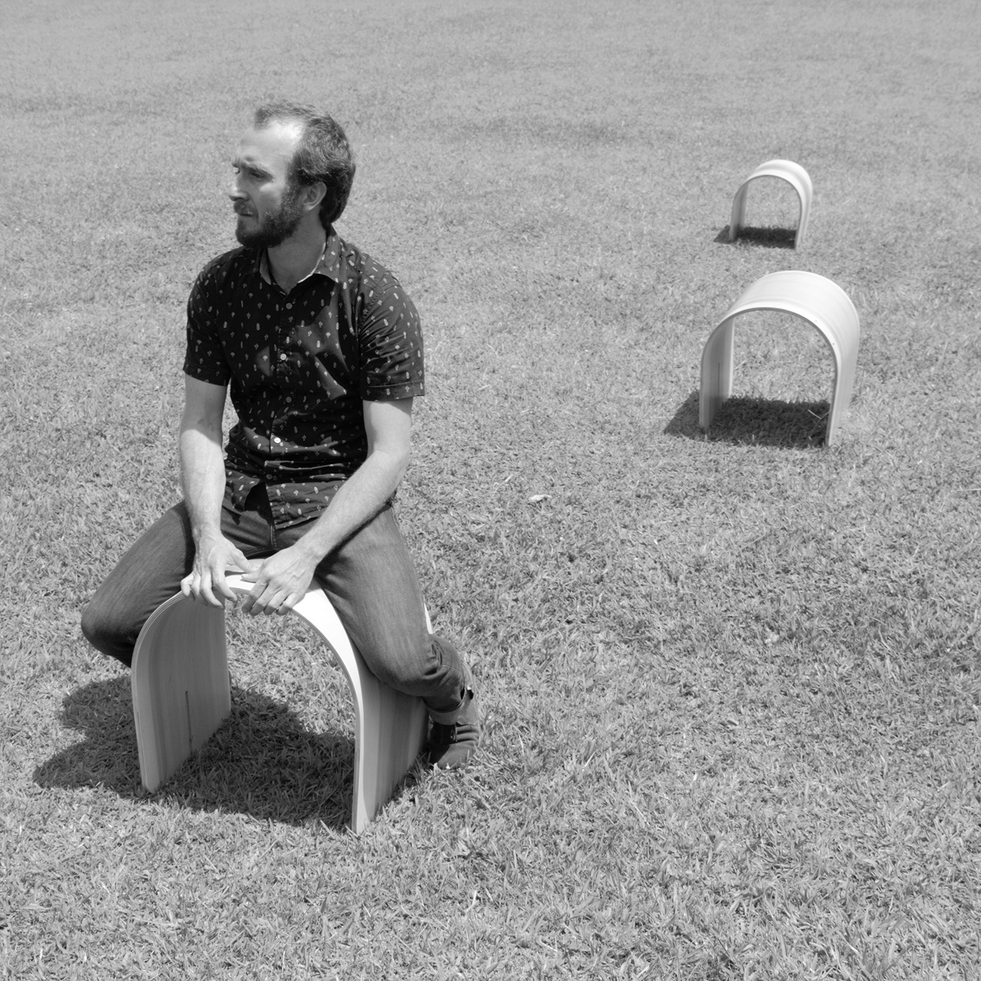 Andes，Public seat，woodiness，