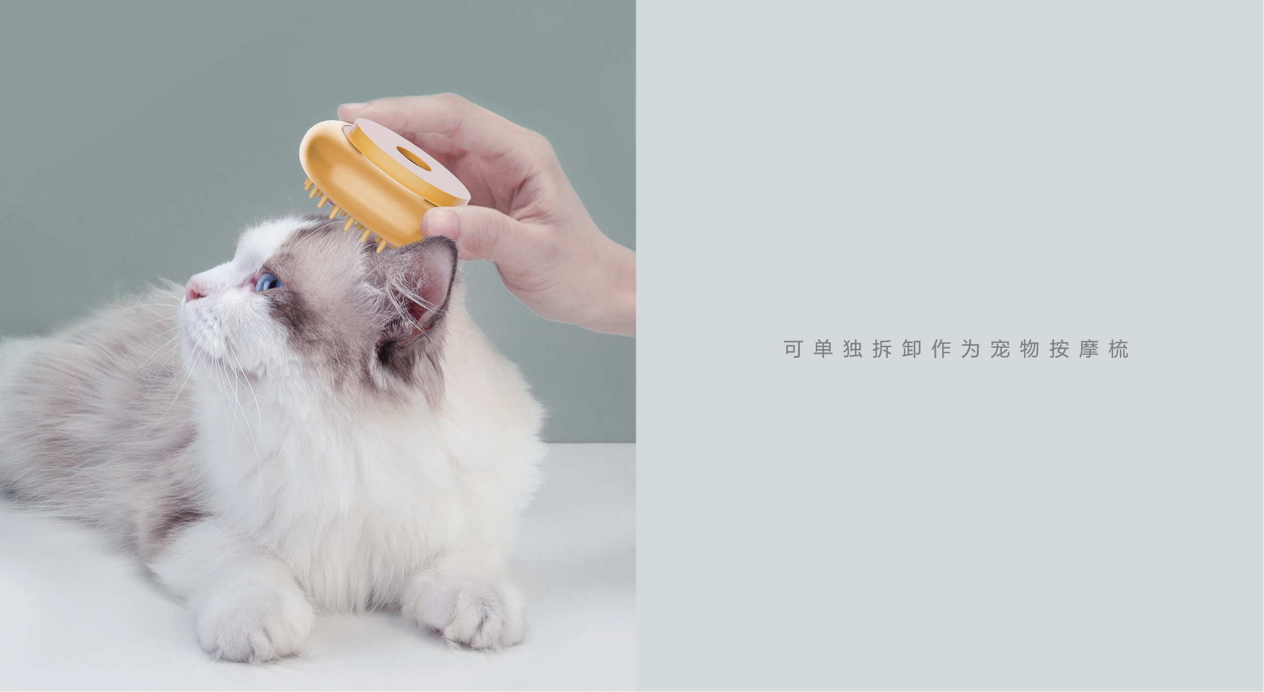 Spade design，Pet sharing，hair drier，