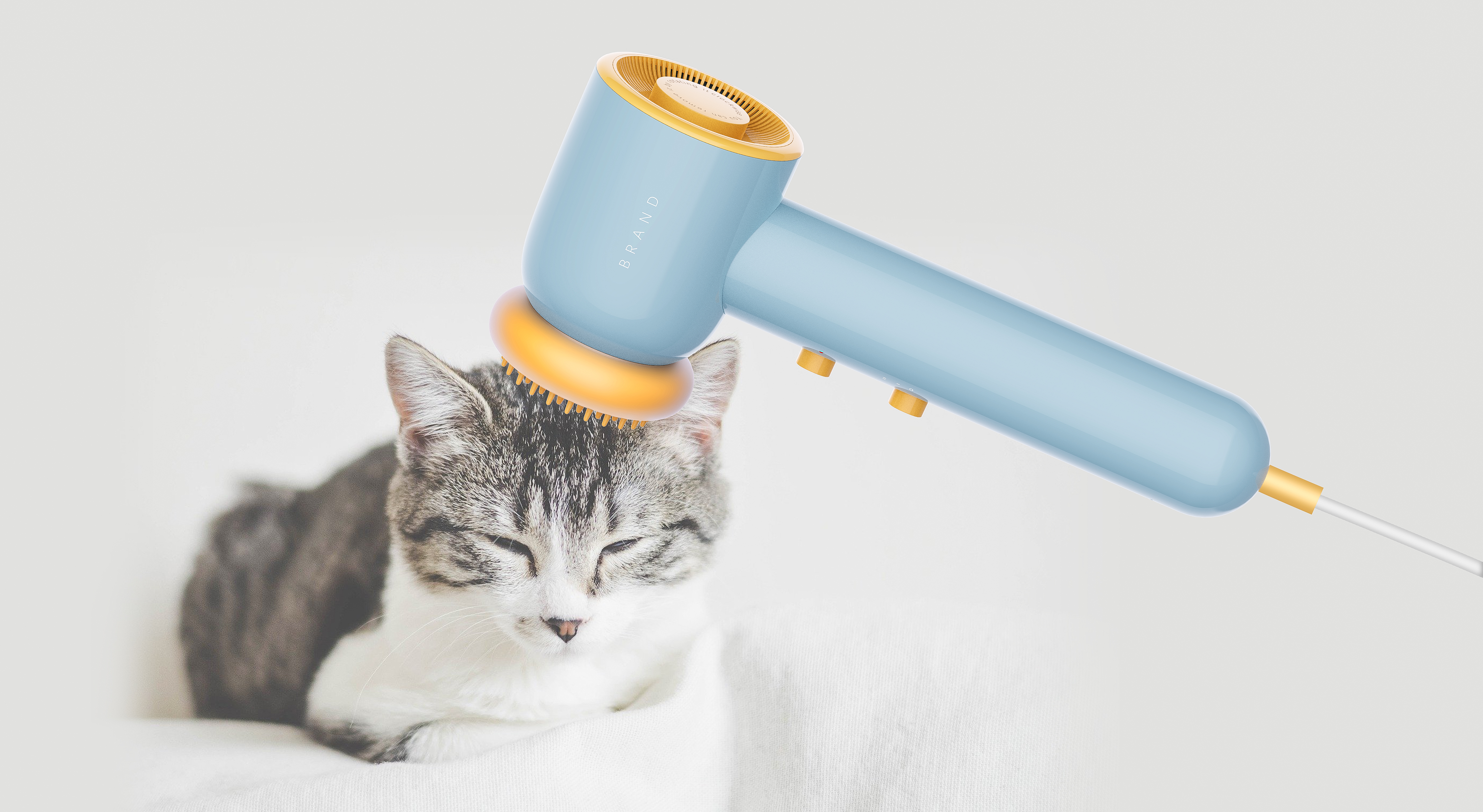 Spade design，Pet sharing，hair drier，