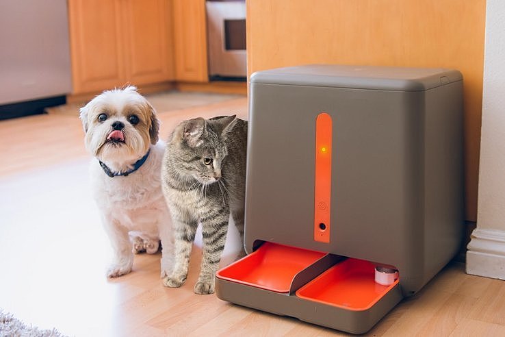 senior，Pets，feed，originality，Design，