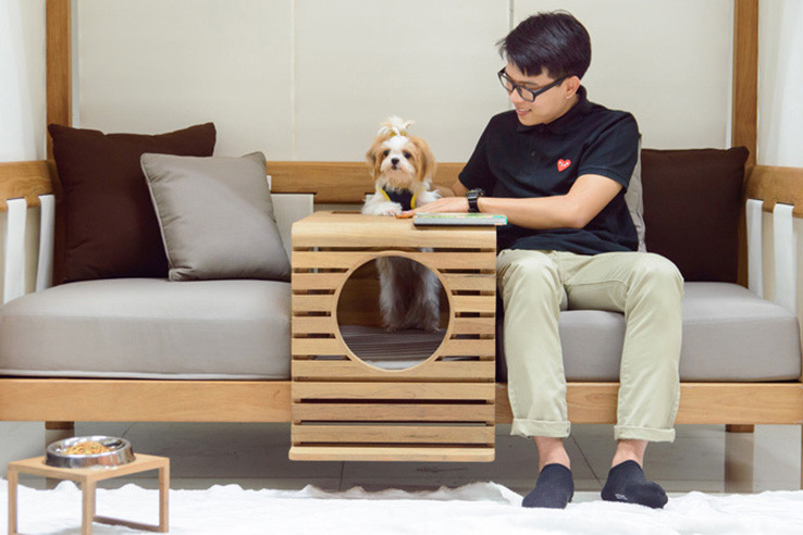 Pets，sofa，share，originality，Design，