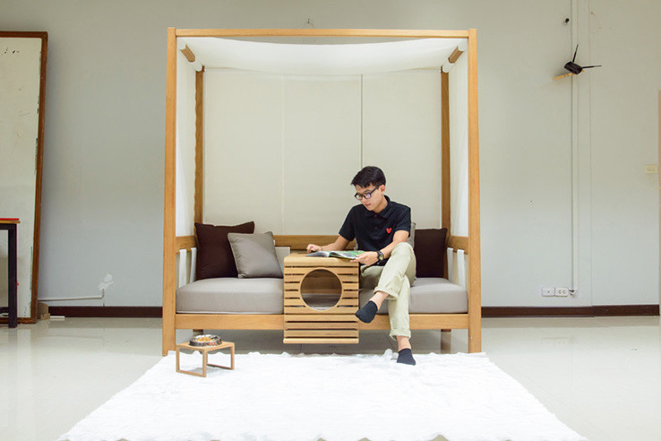 Pets，sofa，share，originality，Design，