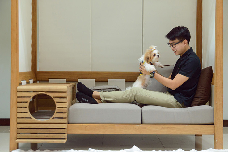 Pets，sofa，share，originality，Design，