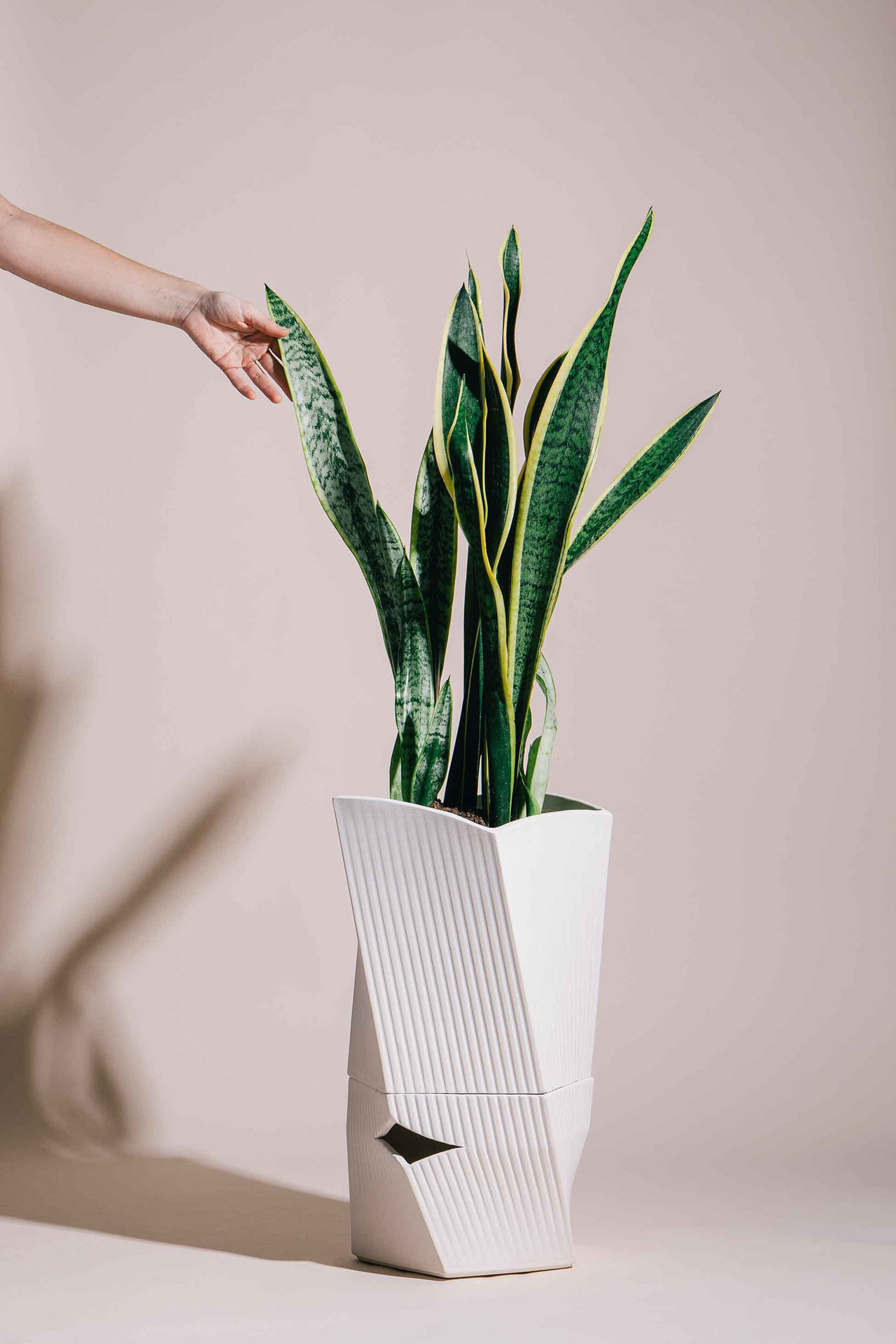 Flowerpot，Botany，irrigation system，Two piece，