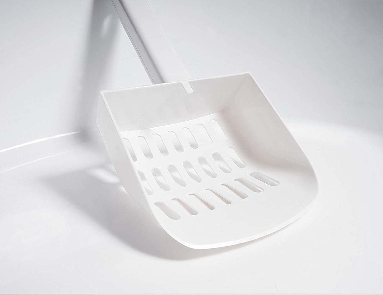 cat，Cat litter，Toilet，clean，white，