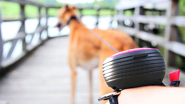 product design，industrial design，dog chain，Free your hands，User experience，