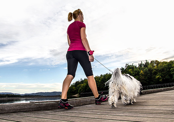 product design，industrial design，dog chain，Free your hands，User experience，