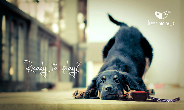 product design，industrial design，dog chain，Free your hands，User experience，