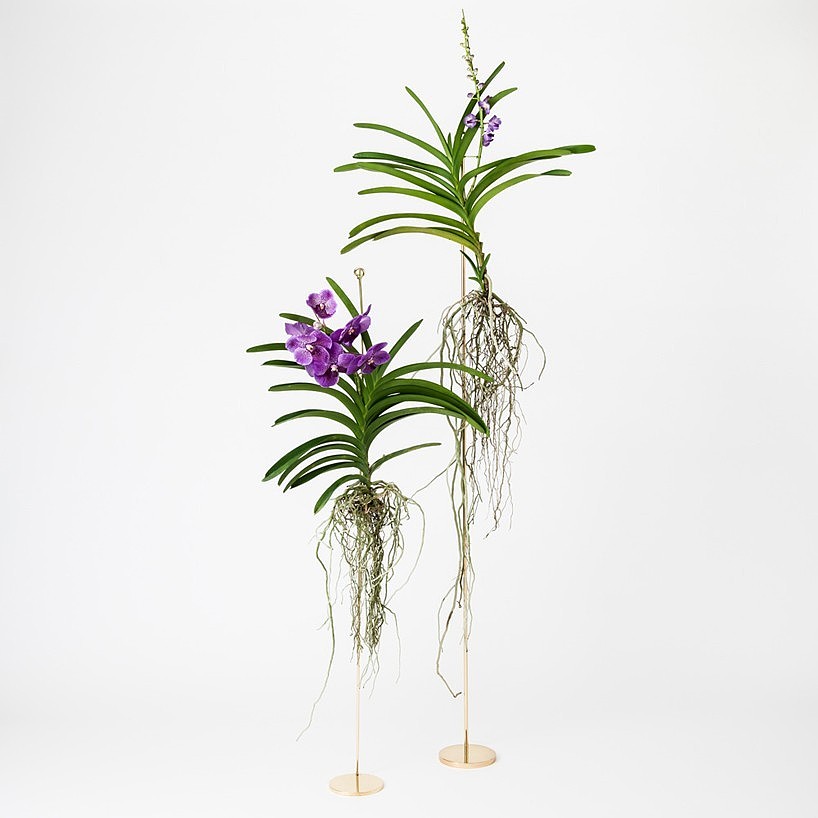 product design，Creative design，Home Furnishing，Collection，practical，