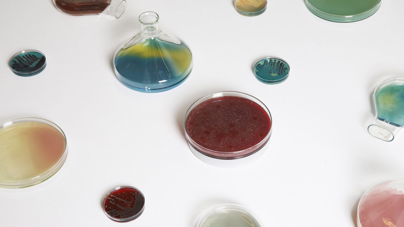 Bacteria，Desk lamp，lamp，microorganism，laboratory，