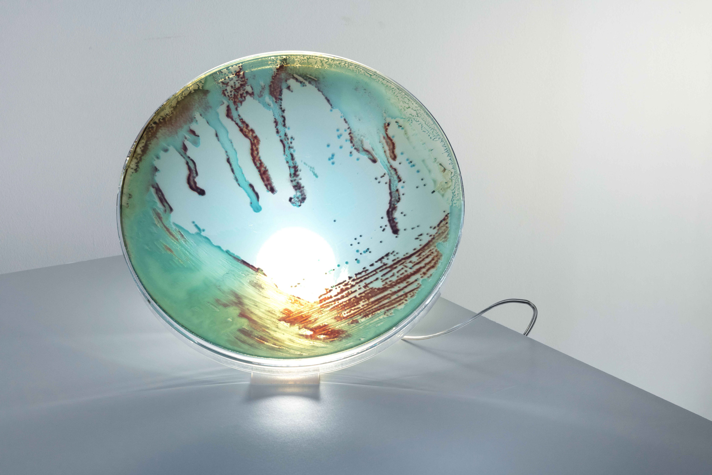 Bacteria，Desk lamp，lamp，microorganism，laboratory，