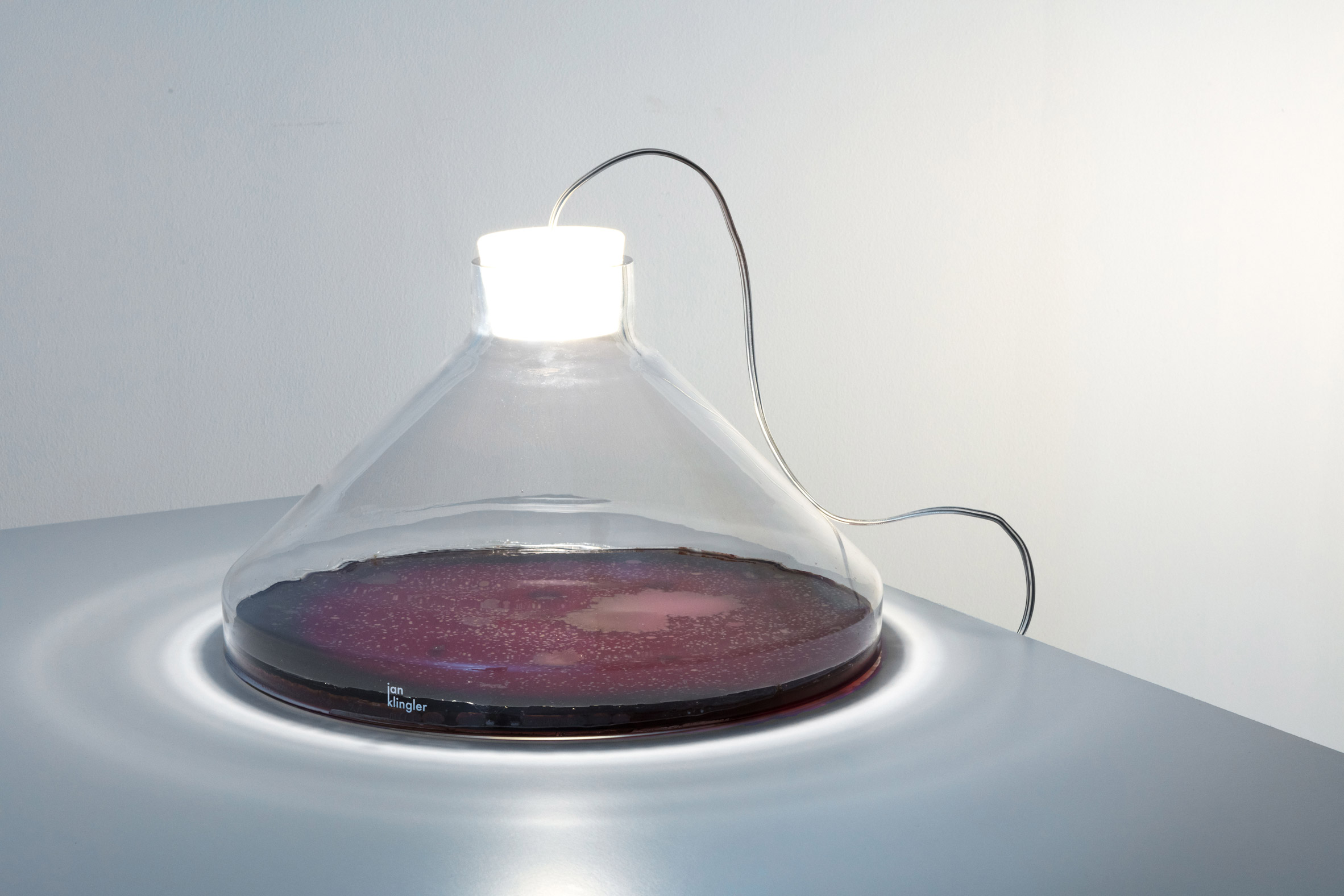 Bacteria，Desk lamp，lamp，microorganism，laboratory，