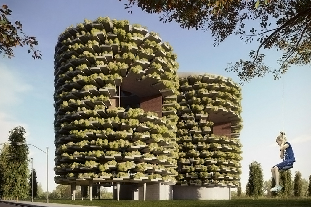 建筑,绿色,学校,环保