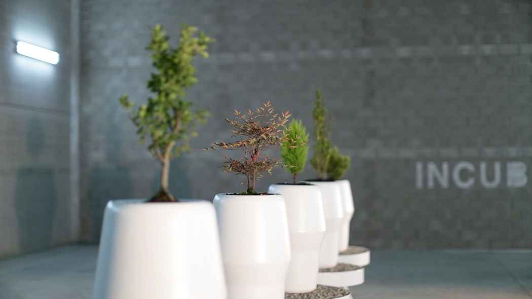 product design，industrial design，Home Furnishing，Botany，originality，