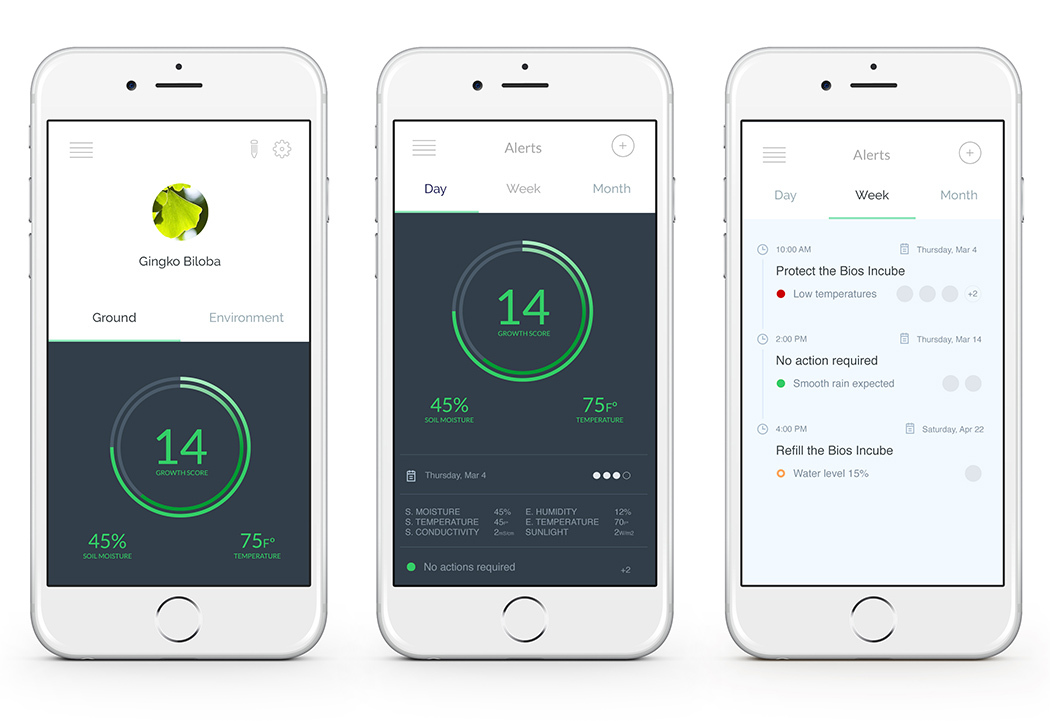 product design，industrial design，Home Furnishing，Botany，originality，