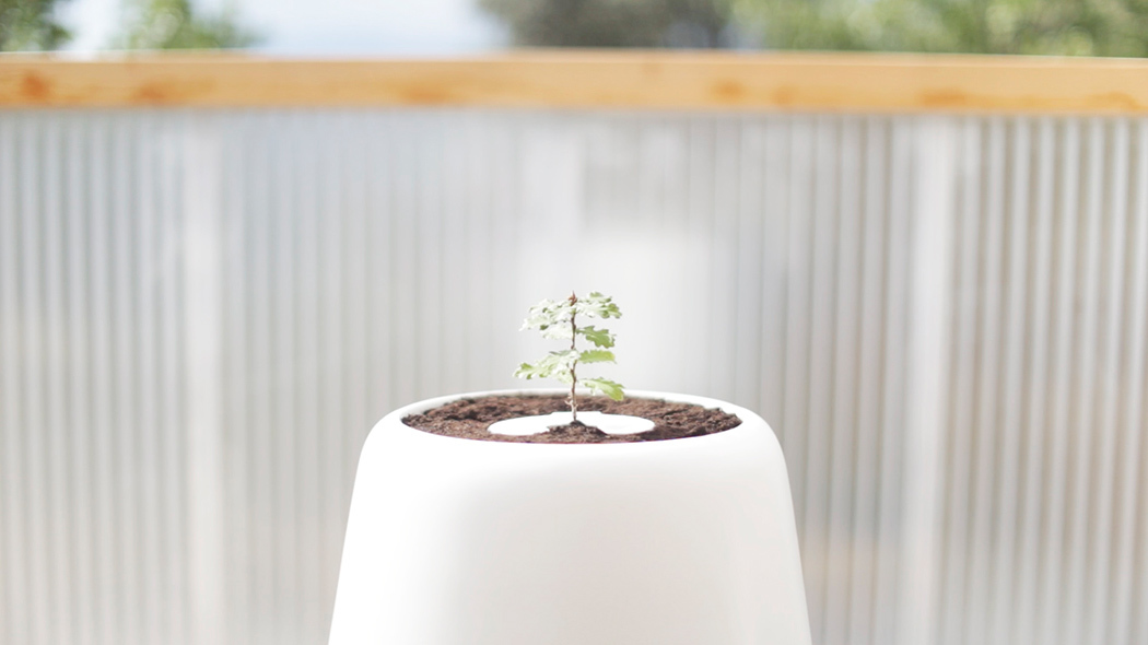 product design，industrial design，Home Furnishing，Botany，originality，