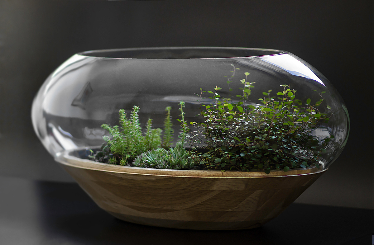 Flowerpot，Glass，Botany，wooden ，Scenery，