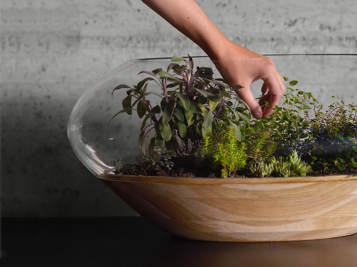 Flowerpot，Glass，Botany，wooden ，Scenery，