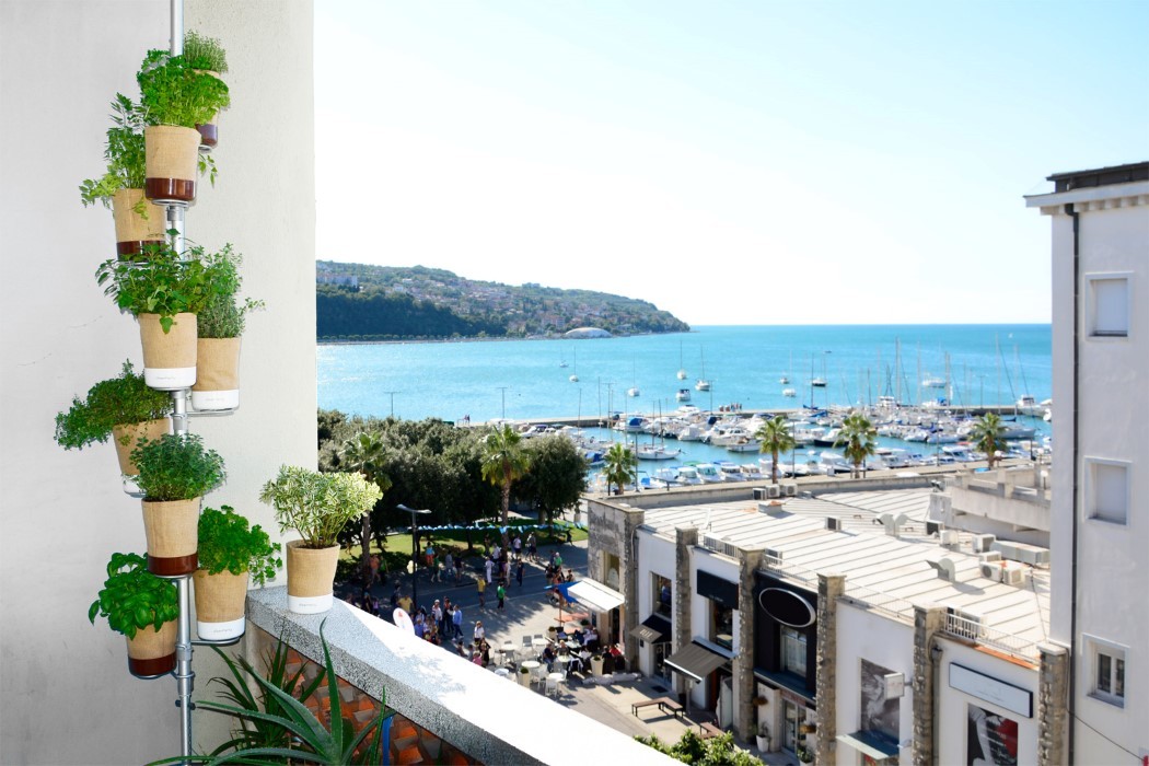 product design，industrial design，Botany，originality，green，