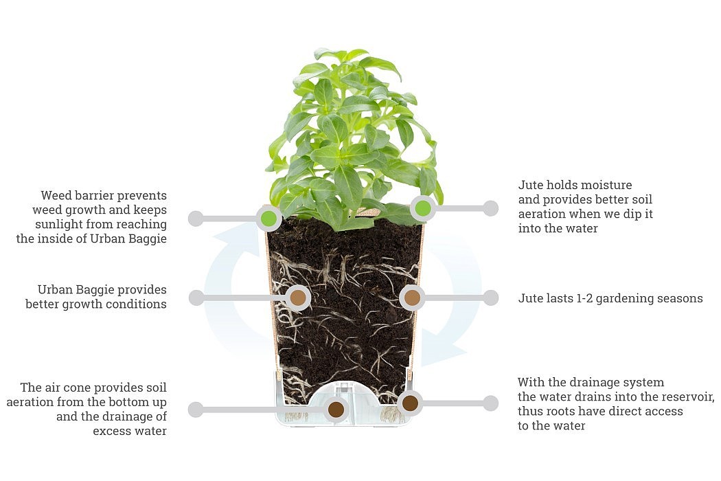 product design，industrial design，Botany，originality，green，