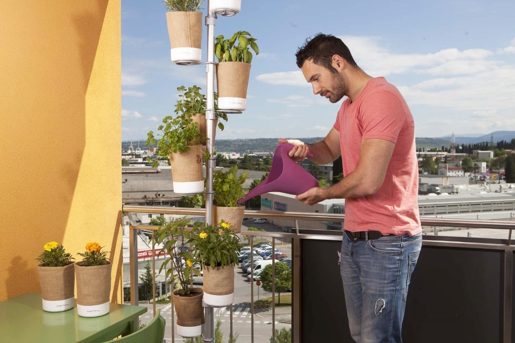 product design，industrial design，Botany，originality，green，