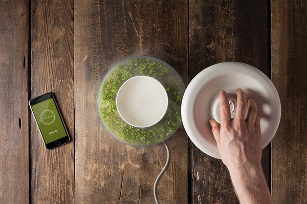 Home Furnishing，Smart appliances，Bean sprouts，plant，industrial design，healthy，