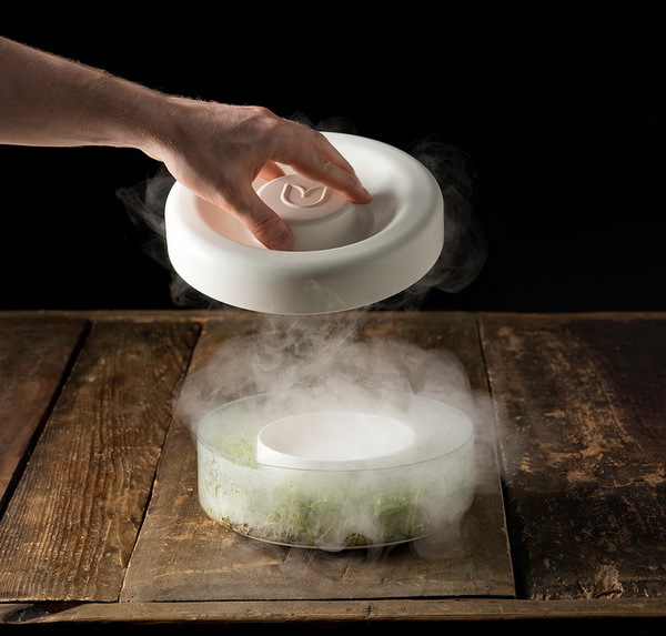 Home Furnishing，Smart appliances，Bean sprouts，plant，industrial design，healthy，