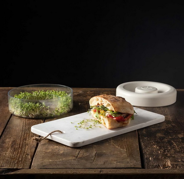 Home Furnishing，Smart appliances，Bean sprouts，plant，industrial design，healthy，