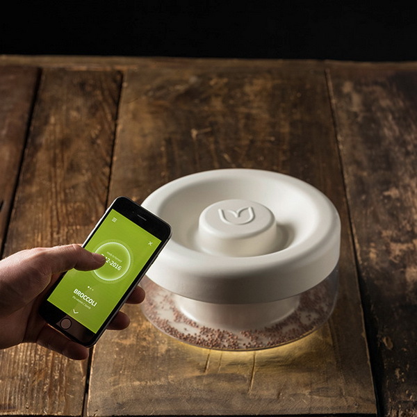 Home Furnishing，Smart appliances，Bean sprouts，plant，industrial design，healthy，