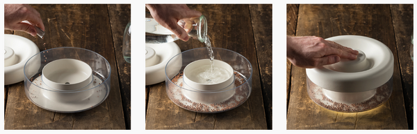 Home Furnishing，Smart appliances，Bean sprouts，plant，industrial design，healthy，